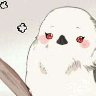 아레르기 프로필