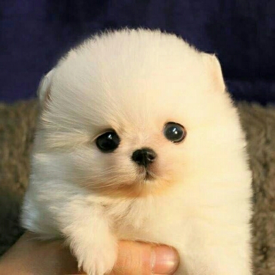 리뷰어 프로필