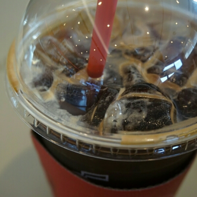 꼬꼬냥 프로필