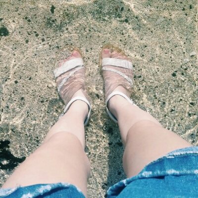 꿀꿀대지 프로필