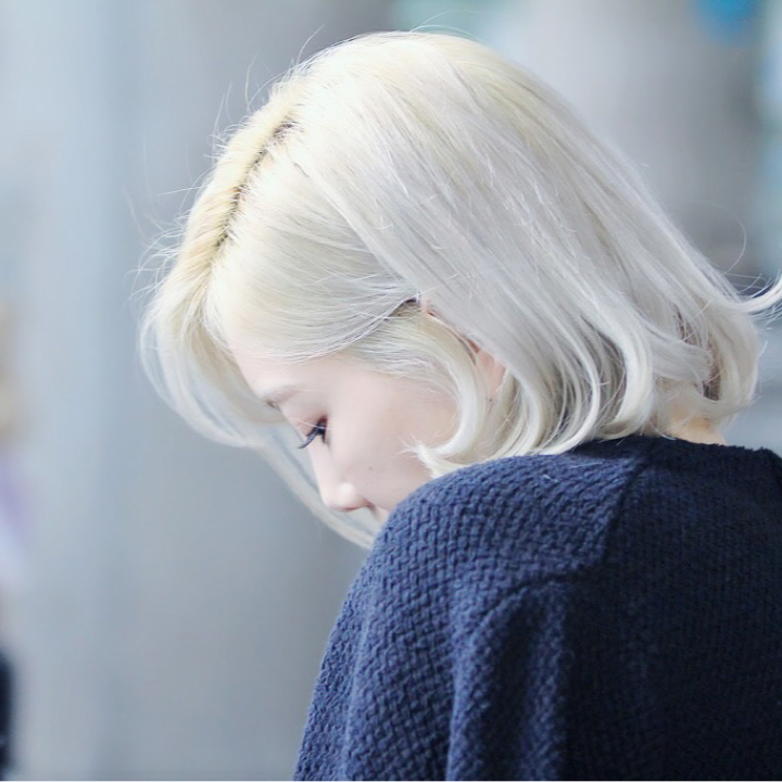 하이제주 프로필