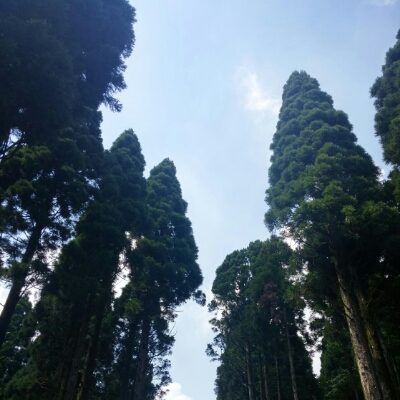 우깜뽀까 프로필