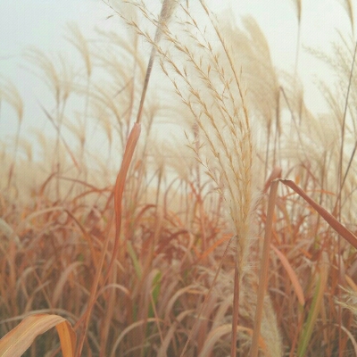리뷰어 프로필