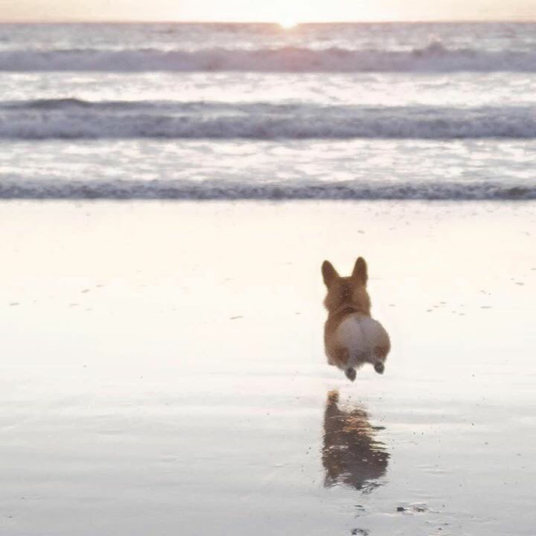 리뷰어 프로필