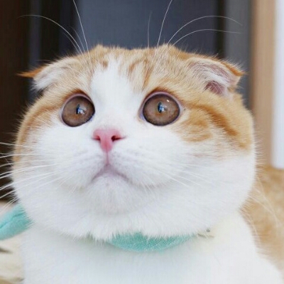 리뷰어 프로필