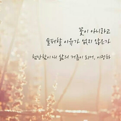 운아a 프로필