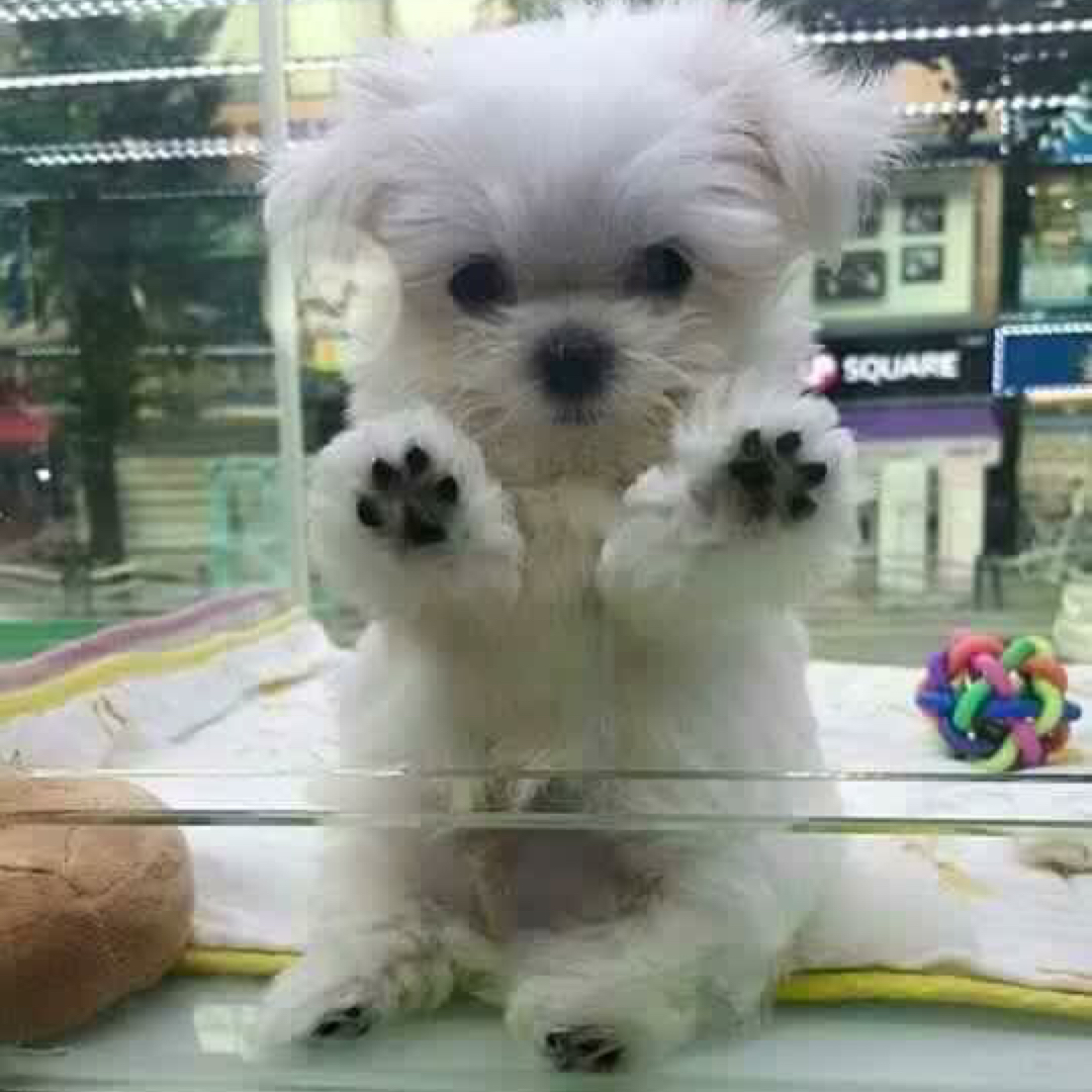 한빈다녕 프로필