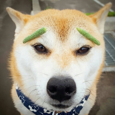 리뷰어 프로필