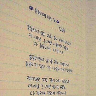 양짝꿍 프로필