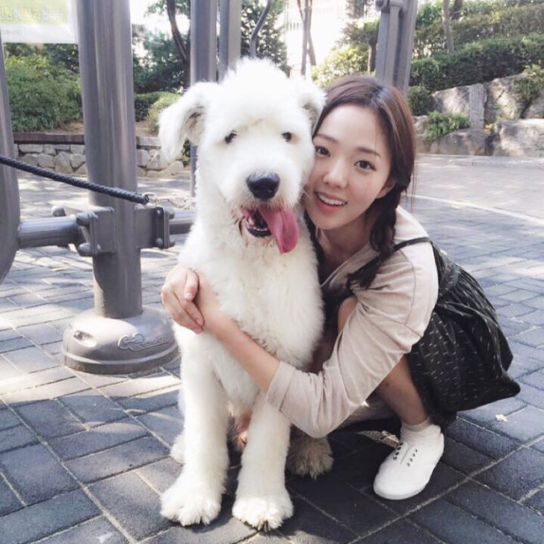 봉봉보로봉 프로필