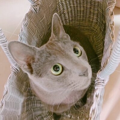 새우껍질 프로필