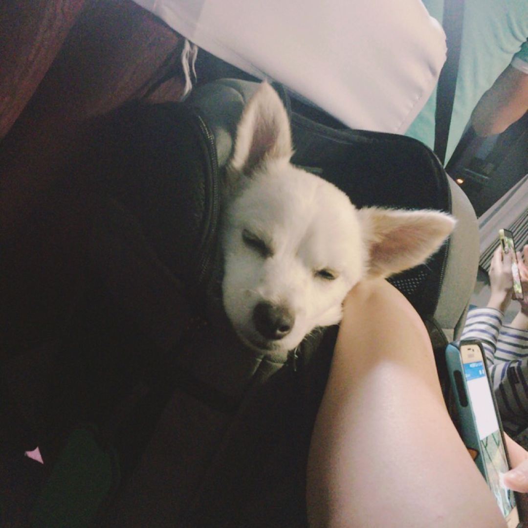 지도리님 프로필
