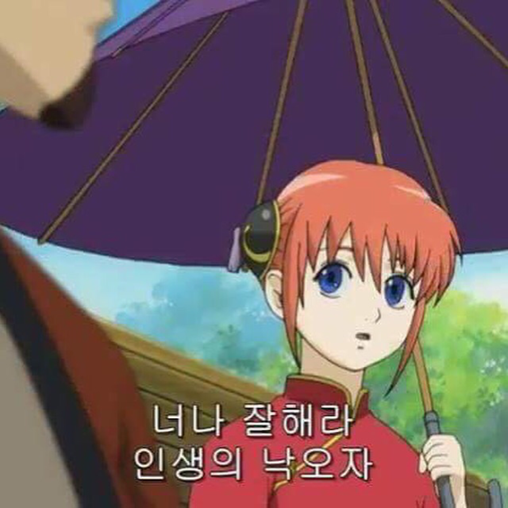 김제제 프로필