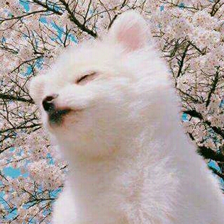 윤경스 프로필