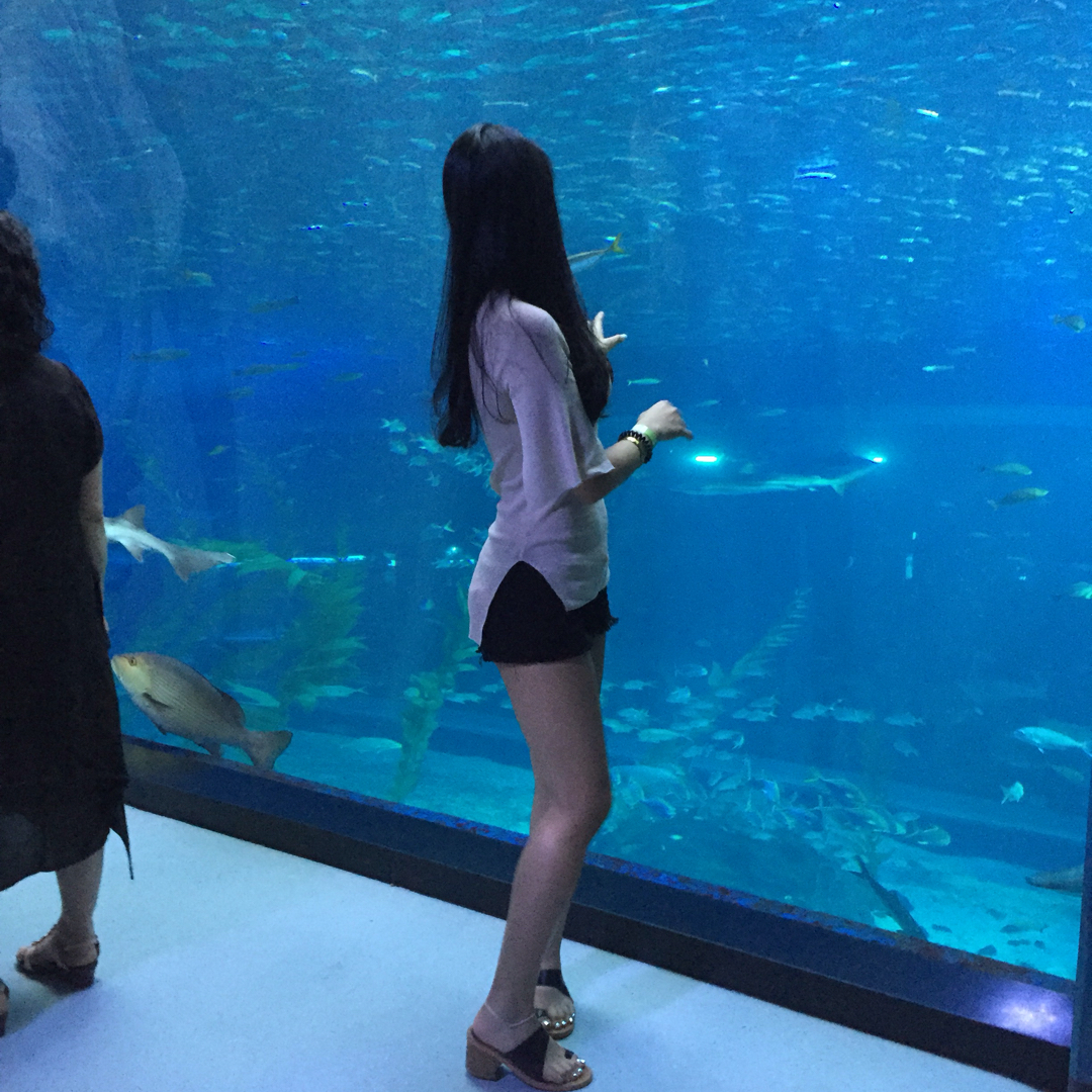 김낭 프로필