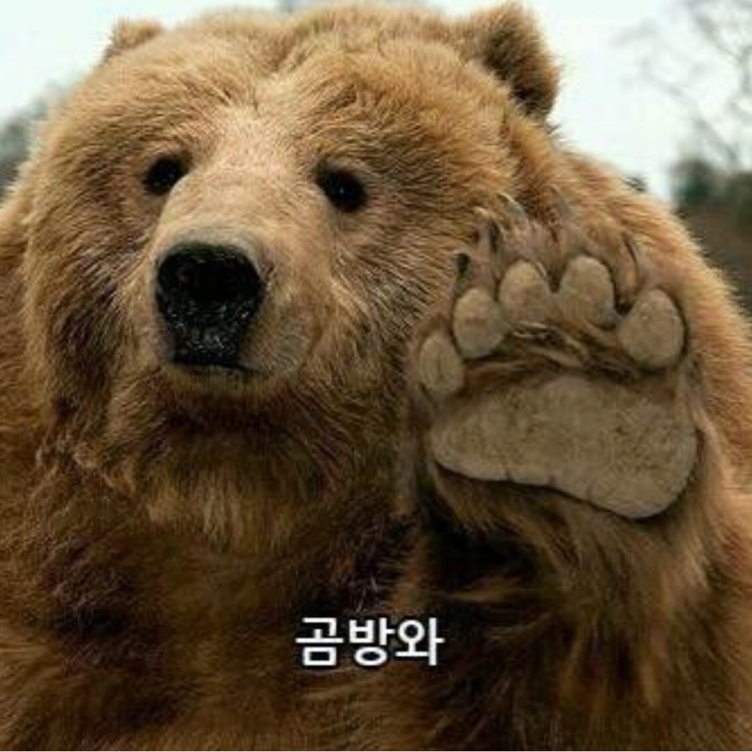 시린 프로필