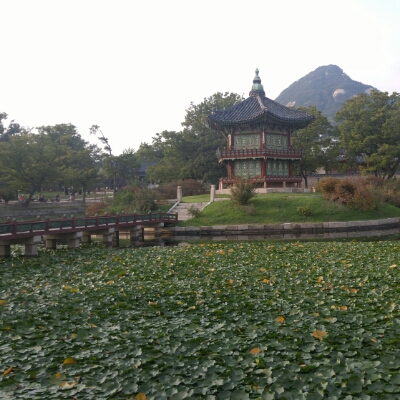 로리에시따 프로필