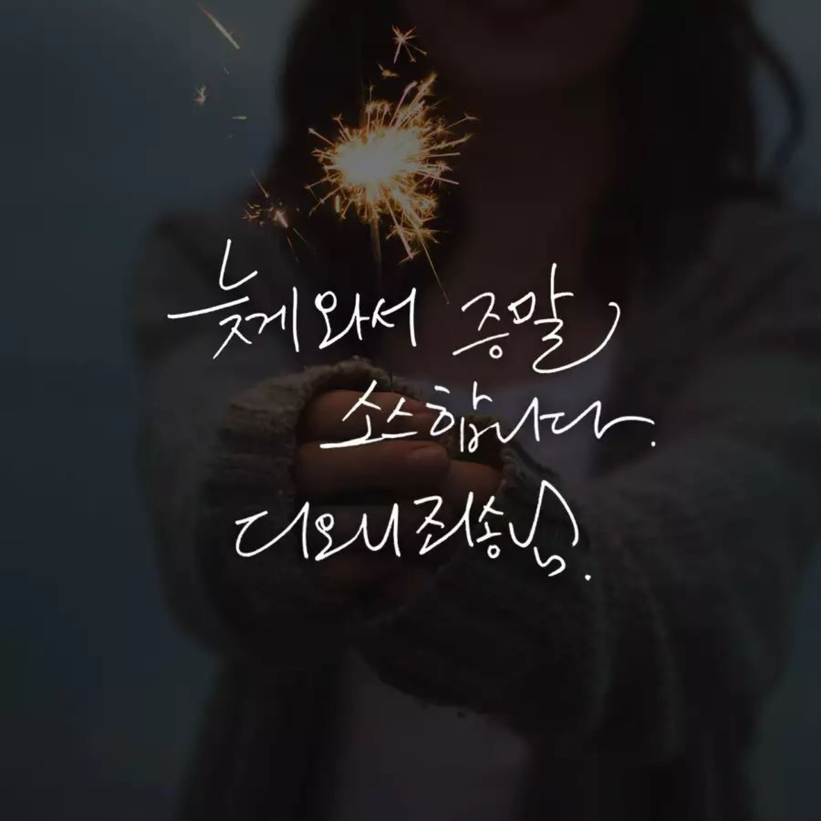 다니공주 프로필