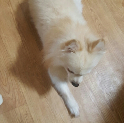 DamianW 프로필