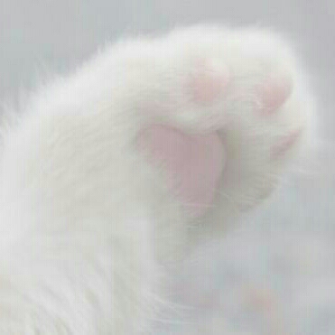 owo99 프로필
