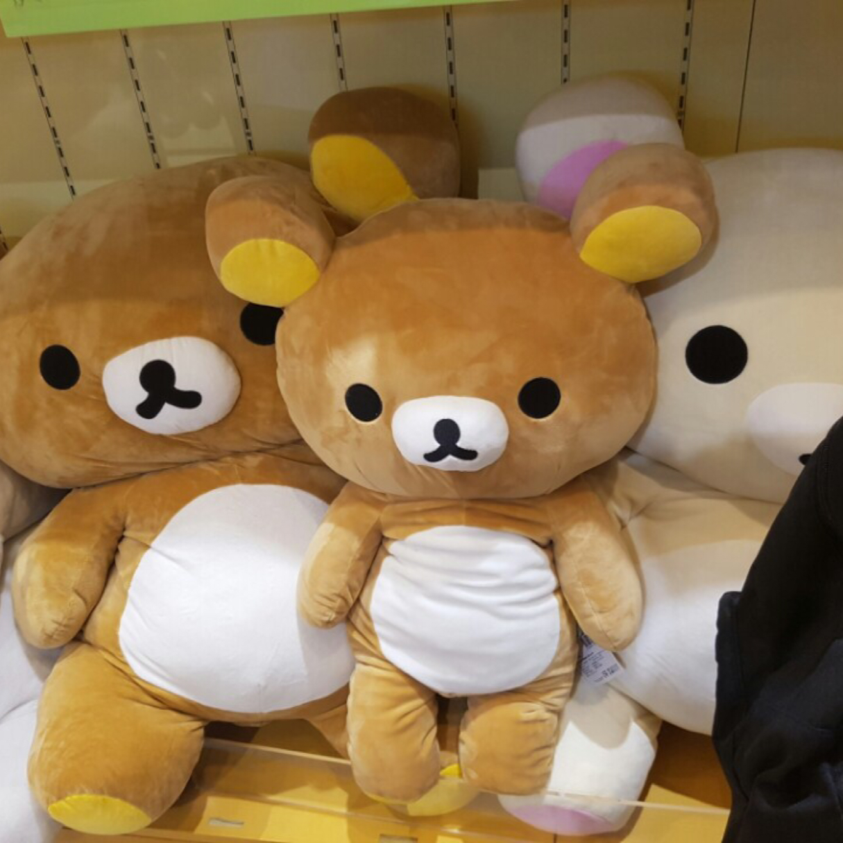 아몬드봉뿅 프로필