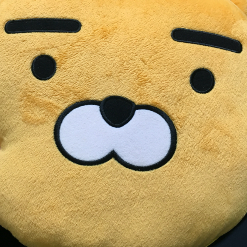기피 프로필