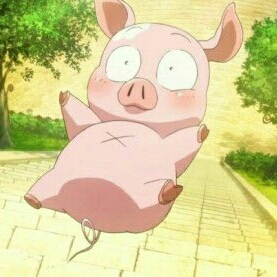 엘쏘 프로필