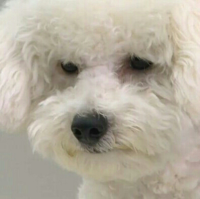 민석이의엘사 프로필