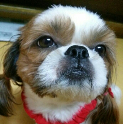 jung24 프로필