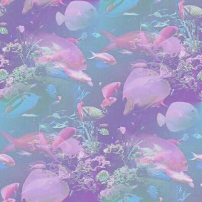 ㅇㅎㄴ 프로필