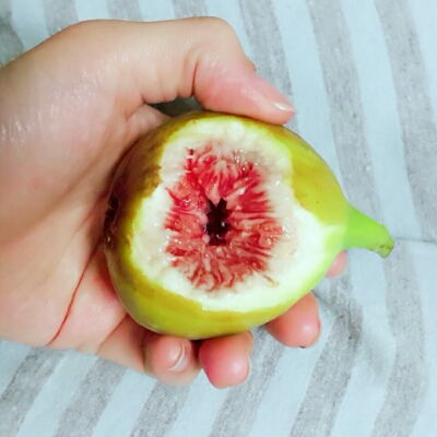리뷰어 프로필