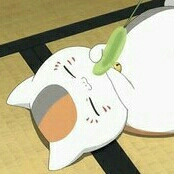 라뷰우 프로필