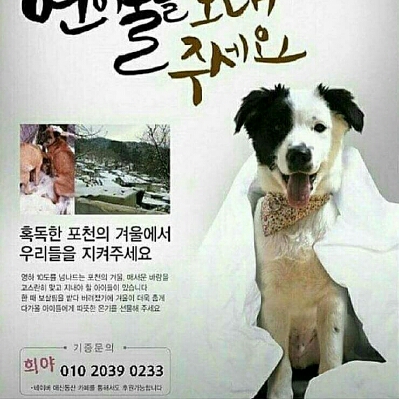 novely2 프로필