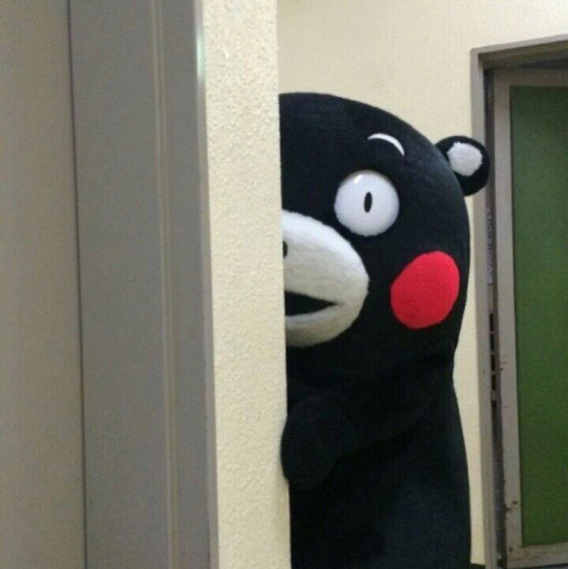 제리빈 프로필