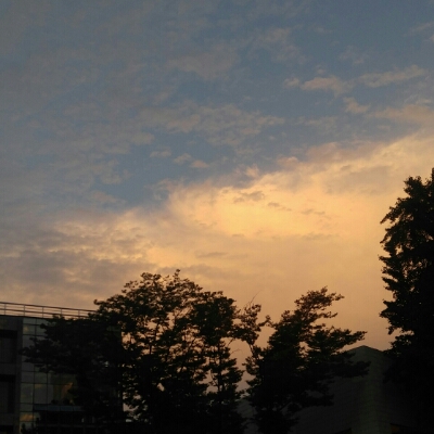 리뷰어 프로필
