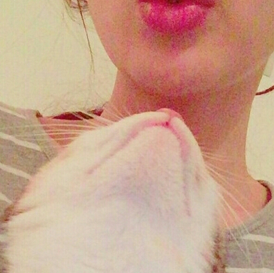 두부둡둡 프로필