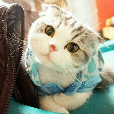 뀨뀪뀪뀪 프로필