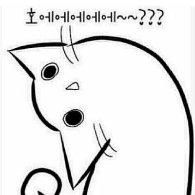 푸플 프로필