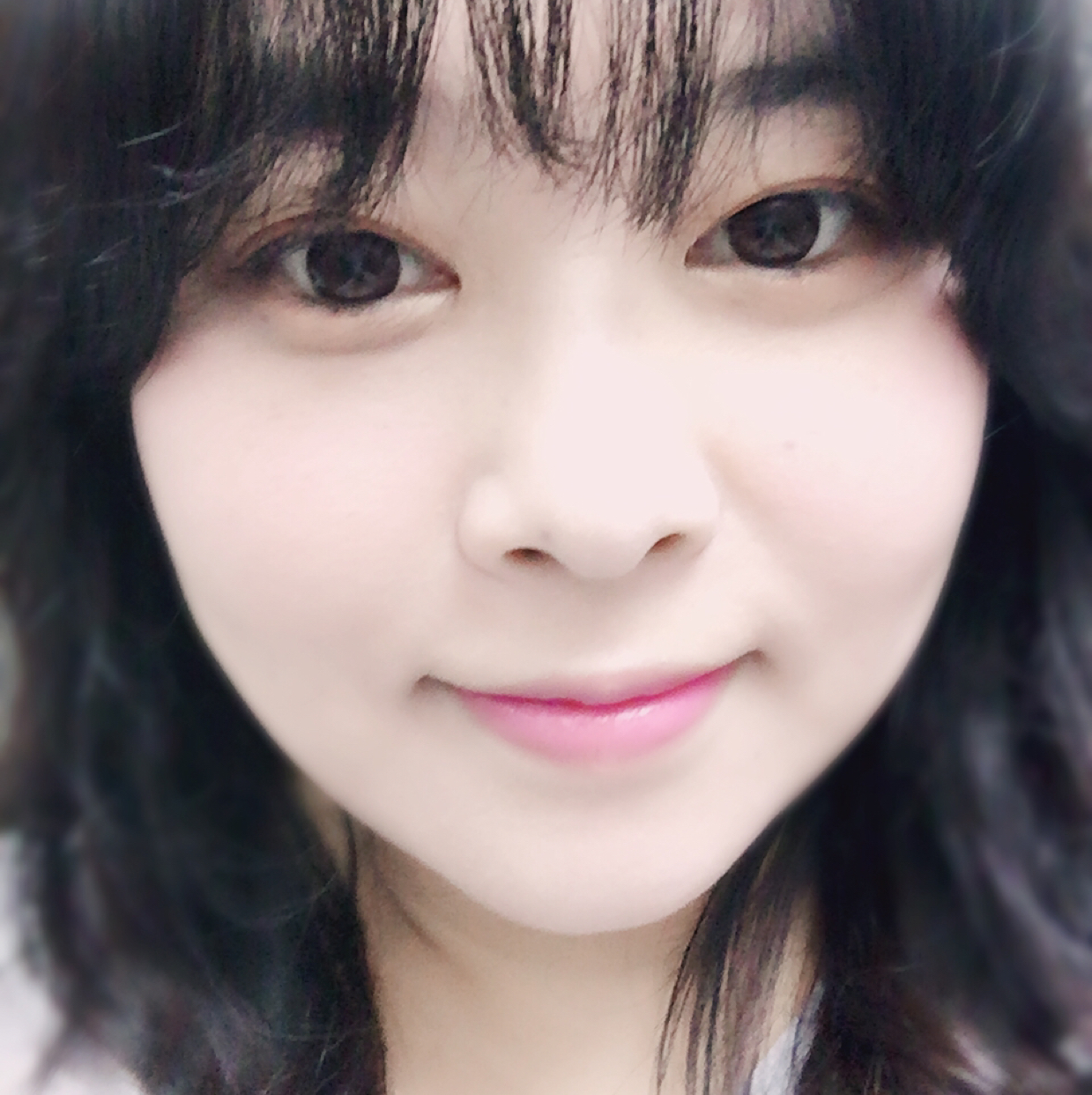 정차차 프로필