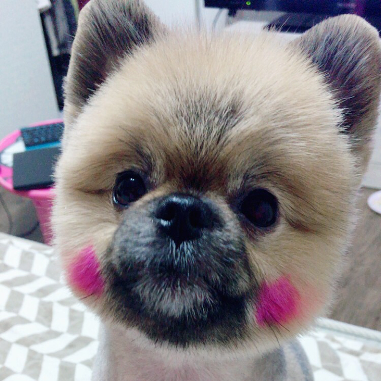 리뷰어 프로필