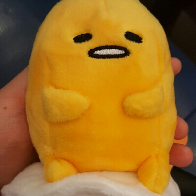 차즤 프로필
