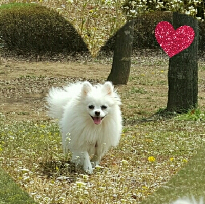 잉어맘 프로필