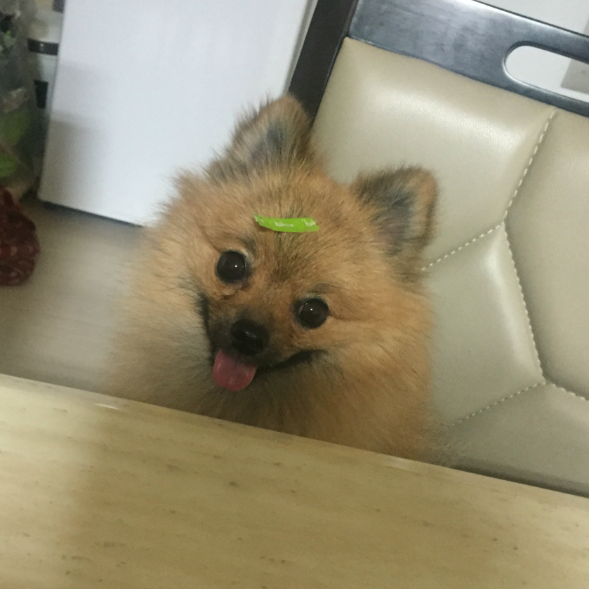 ssoyya 프로필