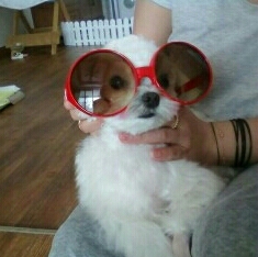 리뷰는내꺼야 프로필