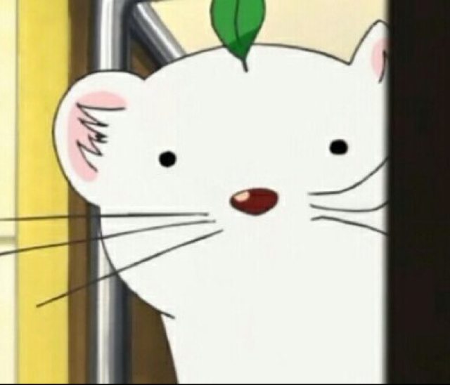 불돼 프로필