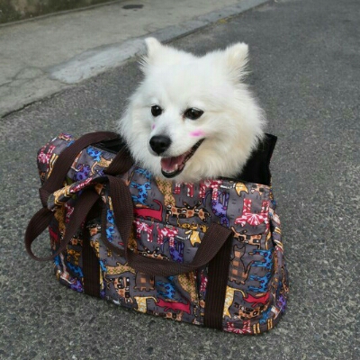 니예리 프로필