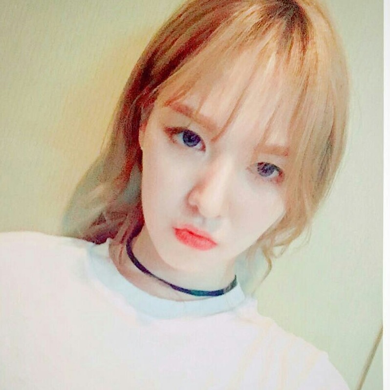 시어러브 프로필