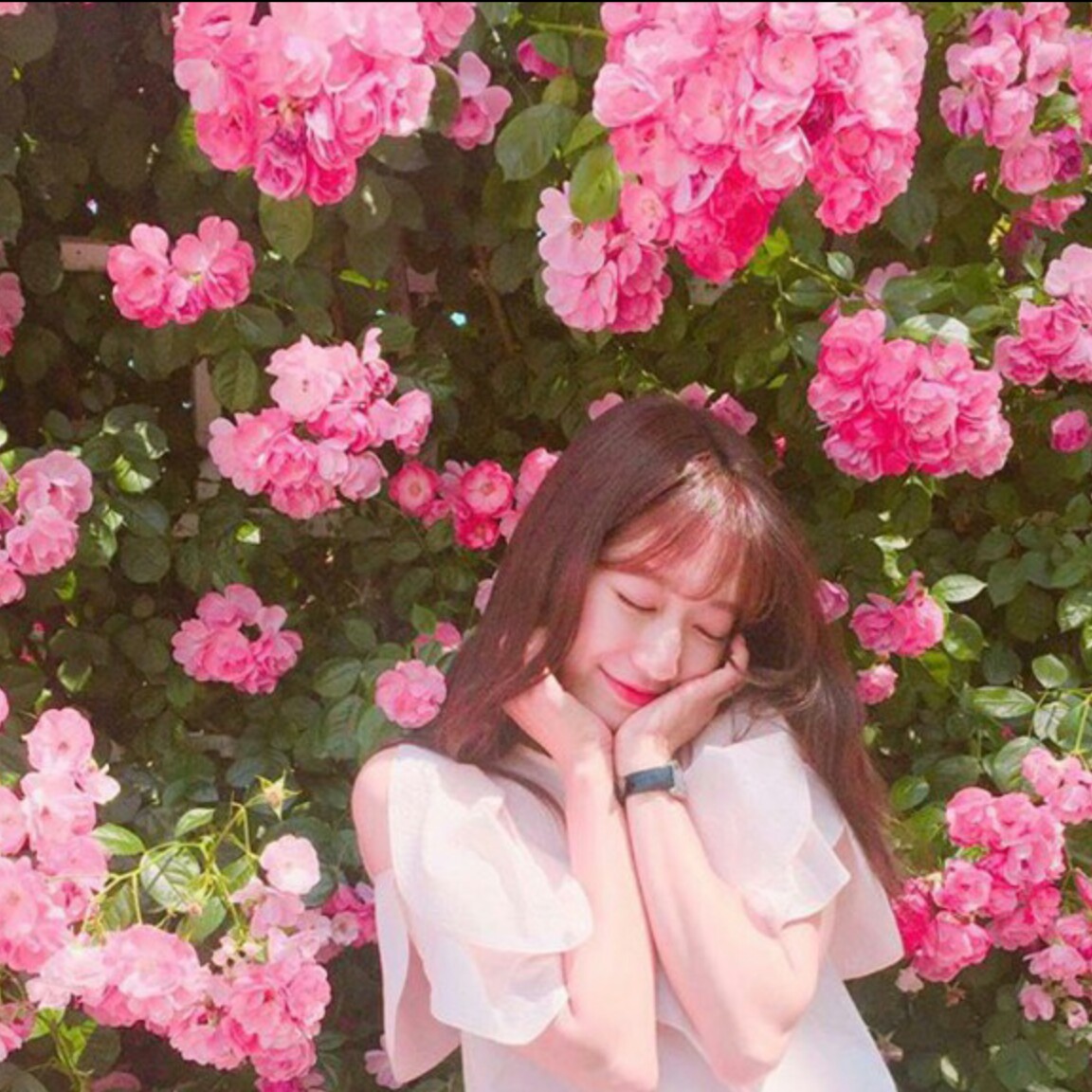 희엉니 프로필
