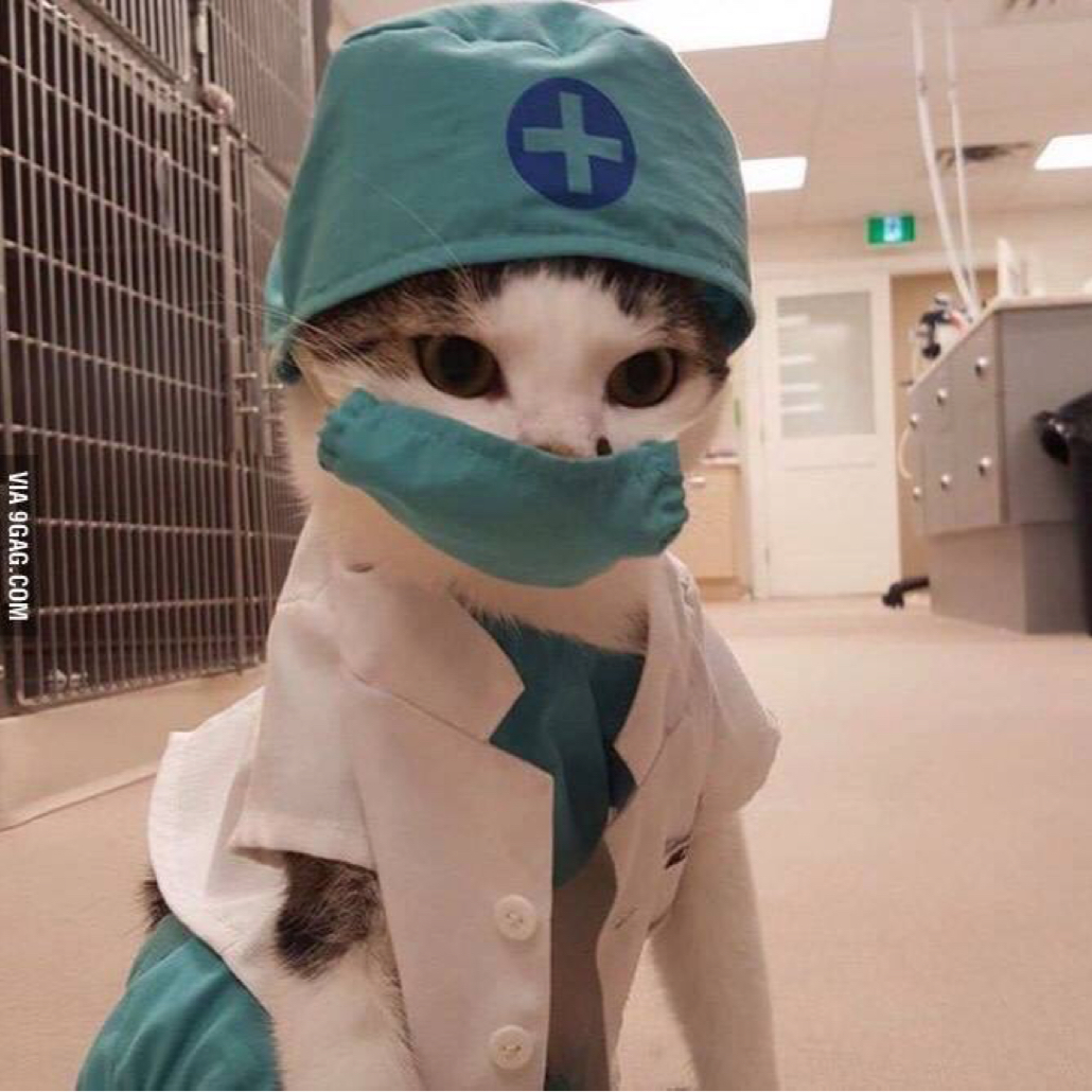 우옹이 프로필