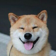 리뷰어 프로필